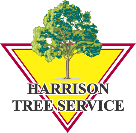 Harrison Tree & Lawn