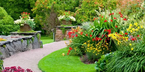 landscaping